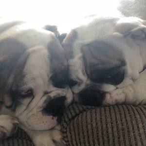 Meet your Posher, Candace